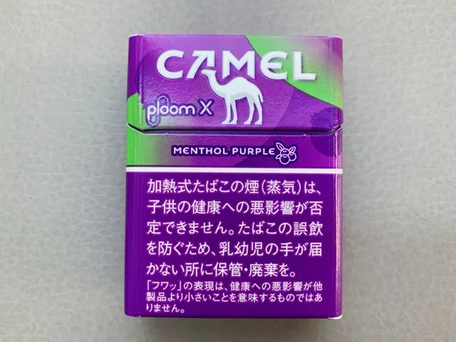 キャメルパープル2