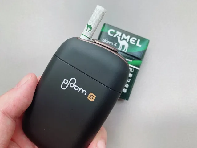 キャメルブラックミント3