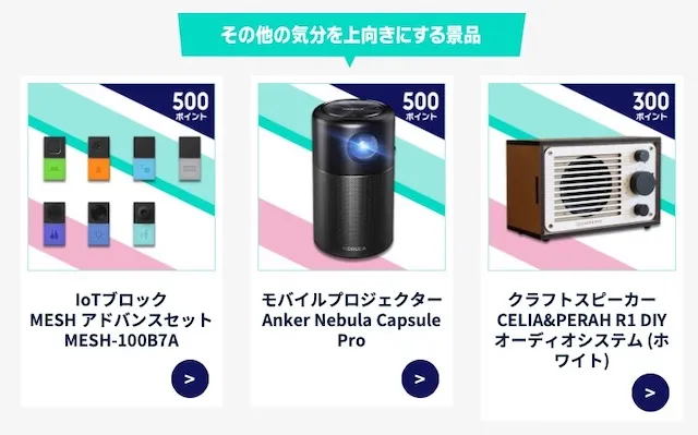 ポイントプログラム