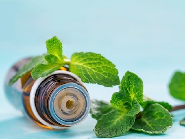 mint essential oil