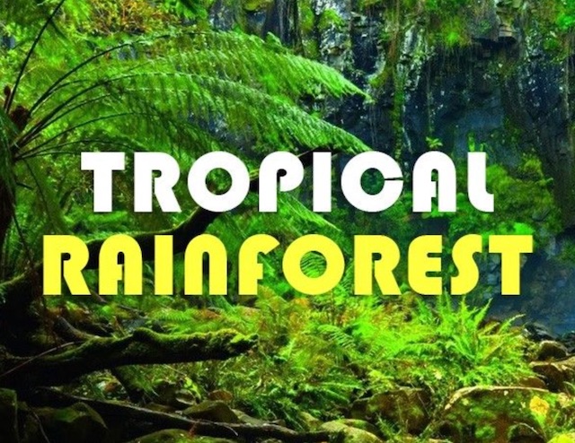 hiliq-tropicalforest