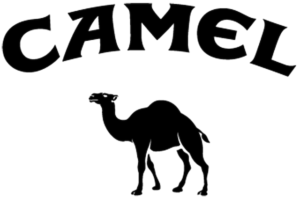 camel